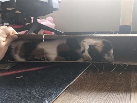 Tight Pussy Hole TIGHTPUSSY