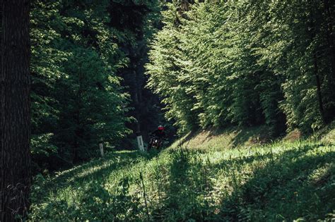 Suzuki GSX S1000 Im Power Naked Bike Vergleich 2022