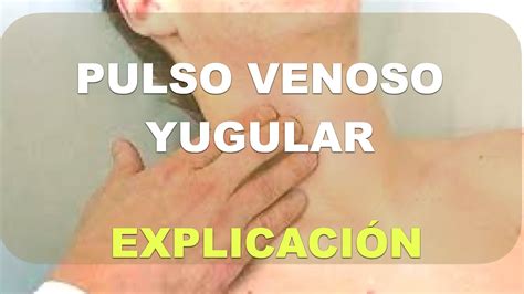 Pulso venoso yugular Explicación YouTube