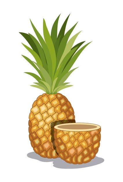 Premium Vector Fresh Pineapple Fruit Tropical