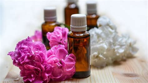 Sex ABC Von A Wie A Tergo Bis Z Wie Zungenkuss Radio Argovia