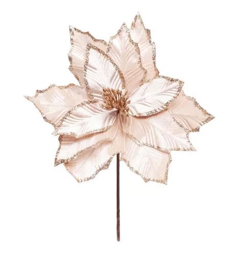 Poinset Nude Con Borde Brillante 30x20x20 Cm 1209856 MercadoLibre