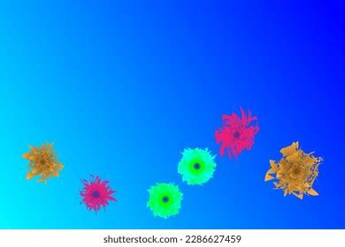 Flower Border Blue Background Stock Vector (Royalty Free) 2286627459 ...