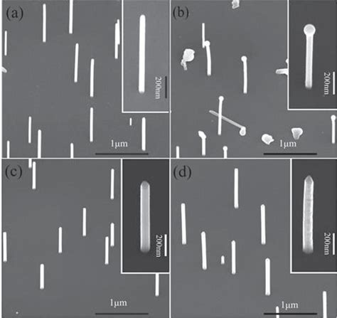 Typical SEM Images Of The Bare InAs And InAs GaSb Coreshell Nanowires