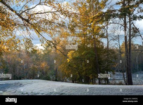Morning Sun Warming The Frozen Snowy Landscape In Northern Tallahassee