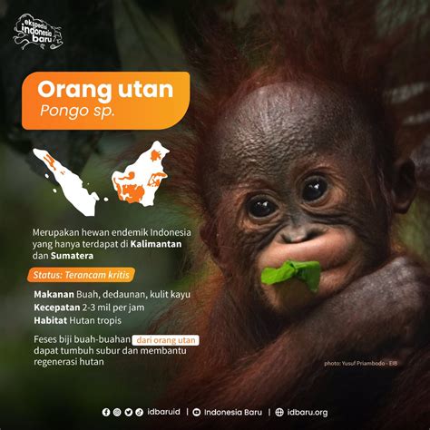 Greenpeace Indonesia On Twitter Rt Idbaruid Akhirnya Sampai Juga Di