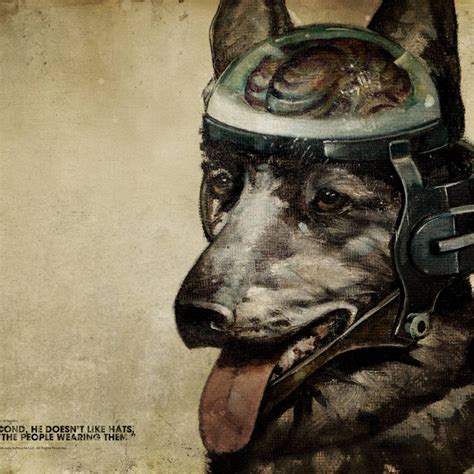 dog fallout  quotes quotesgram