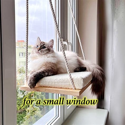 Cat Window Perch For A Small Window Cat Hammock Cat Window Etsy Singapore