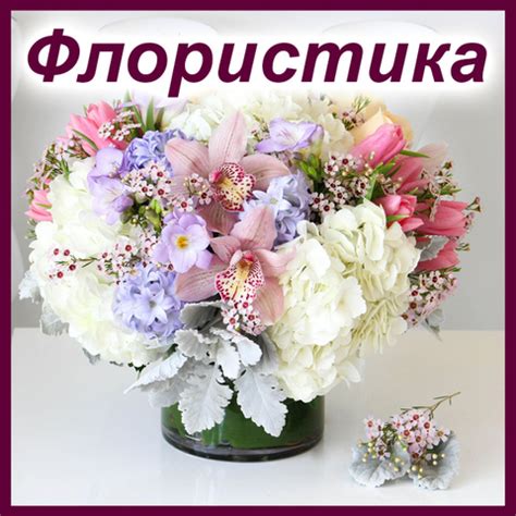 Товары для творчества и рукоделия - купить в интернет магазине "С ...