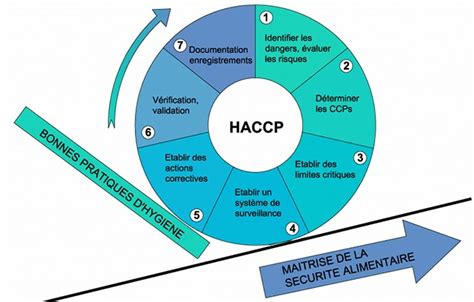 Mieux Comprendre Et Appliquer Les Principes Formation Haccp