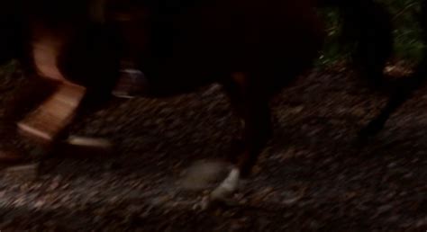 The Sex Adventures Of The Three Musketeers