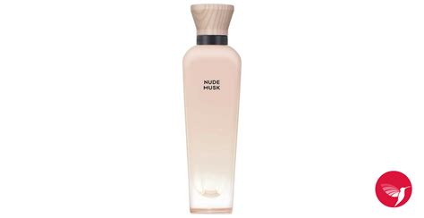 Nude Musk Adolfo Dominguez Perfume A Fragrance For Women