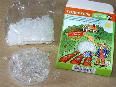 Применение гидрогеля для комнатных растений и в садоводстве