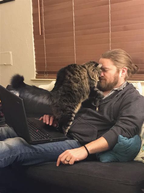 wild animal for ukg 4