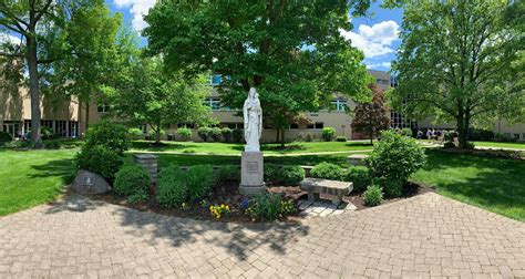 archbishop moeller high school linkedin