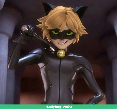 Chat noir Miraculous Ladybug Español Amino