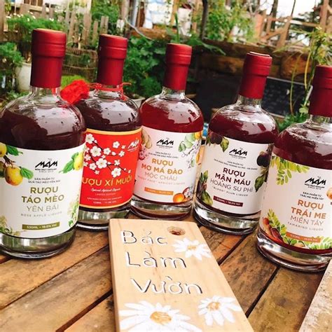 vietnamese alcoholic beverages  alcoholic beverage types  vietnam