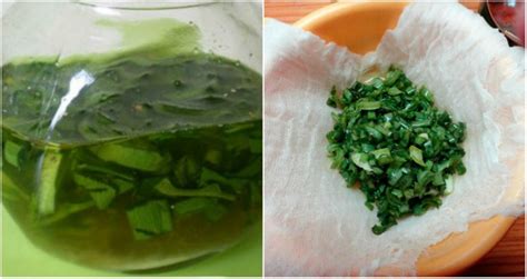 Лечение геморроя в домашних условиях