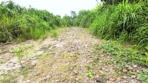 Cogiendo a escondidas a orillas del río Free Sex Video RedTube