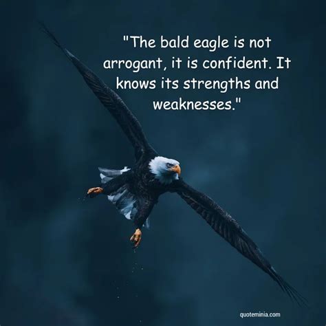 100 Epic Eagle Quotes to Uplift Your Spirit