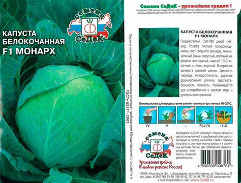 Капуста Монарх – описание сорта, фото, отзывы