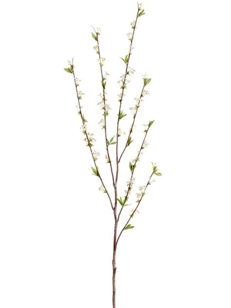 Ветка Спиреи белая (искусственная) Treez Collection: Купить с доставкой ...