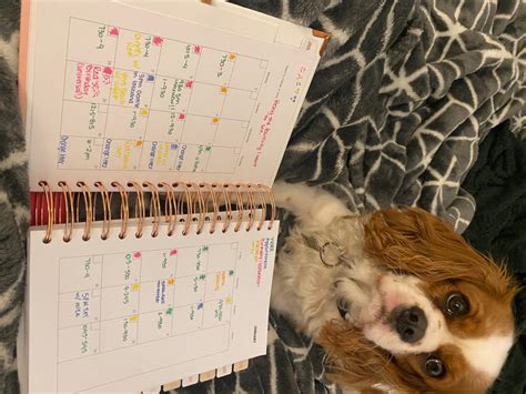 The Happiness Planner 2023 Focus On Loving You The Happiness Planner®