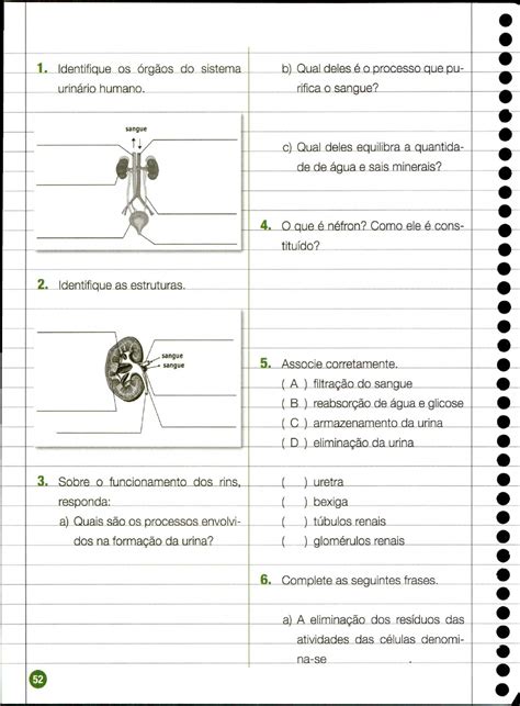 Atividade Sobre Sistema Urinario 5 Ano