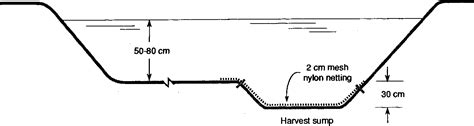Figure 1 From Sex Reversal Of Tilapia In Earthen Ponds Semantic Scholar