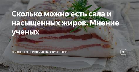 Сколько можно есть сала и насыщенных жиров. Мнение ученых | Фитнес ...