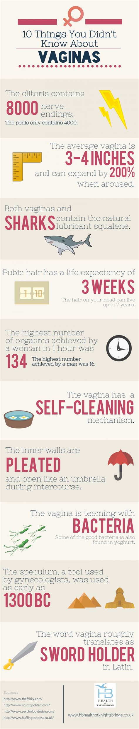 Vagina Facts Infographic Popsugar Love Sex