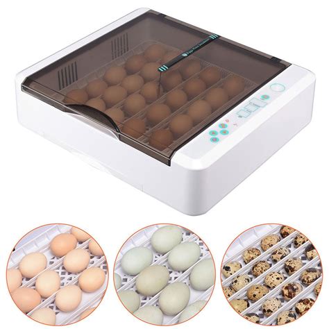 Yescom Egg Incubator Auto Turning Temper Humidity Control Artofit