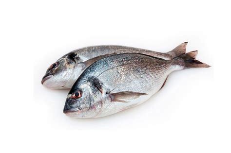 Дорадо - "Кит - Еда"