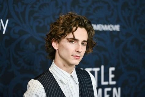 Timothee Chalamet Sparks Gay Rumors Again Verge Campus