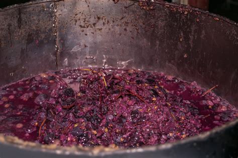 Husker Researchers Explore Ways To Repurpose Grape Waste Nebraska Today