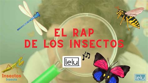 El Rap De Los Insectos La Canci N De Lelu Youtube