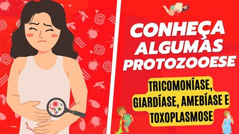 PROTOZOOSES TRICOMONÍASE GIARDÍASE AMEBÍASE E TOXOPLASMOSE YouTube