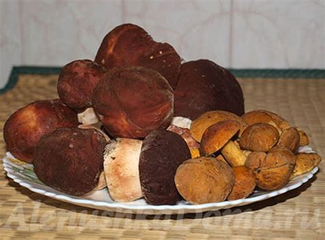 Как заморозить грибы на зиму, рецепт