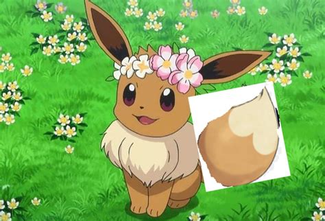 Serenas Eevee With A Heart Shaped Tail By Fakemon1290 On Deviantart