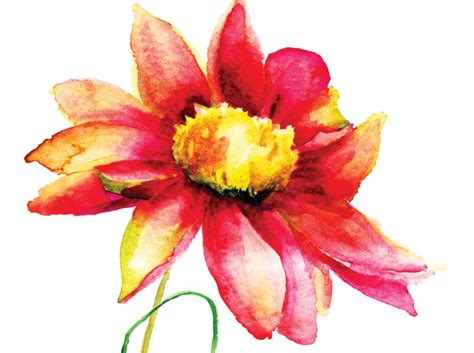 Painting Spectacular Flowers in Watercolor | Springfield Museums