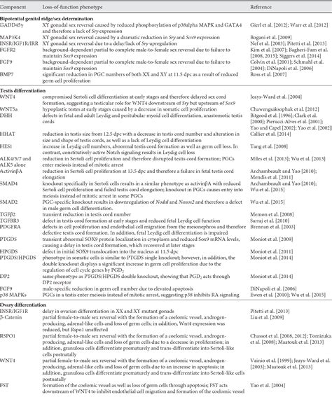 Table 1 From Signaling Pathways Involved In Mammalian Sex Determination