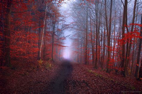 Black Path Landscape Country Roads Paths