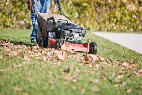 Best Mulching Riding Lawn Mower Best Neely Wenonah