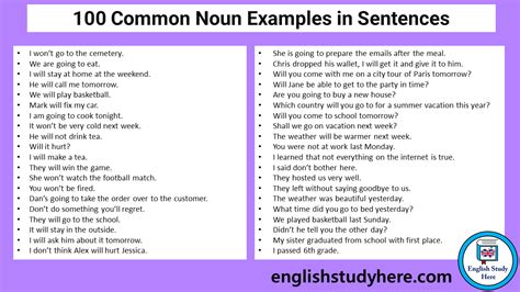 18 Examples of Noun Sentences, Noun Examples Sentences - English Study Here