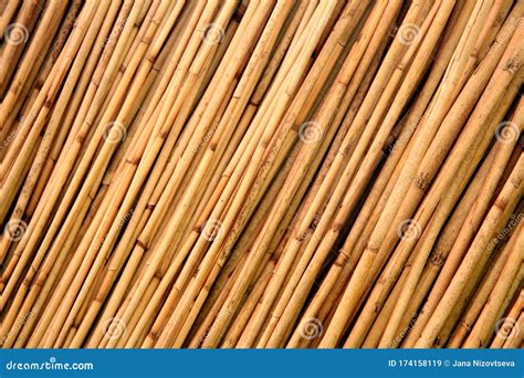 Thatched Roof Texture Reed Roofing Stock Image Image Of Cottage