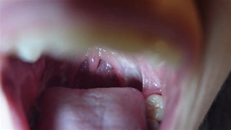 Giantess Ass Giantess Punishes Man With Vore ThisVid