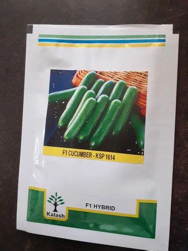 Ksp 1614 Seedless Cucumber Kalash Seeds At ₹ 225000 Jaipur Id