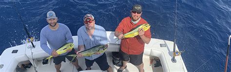 Dolphin Fishing In September Key West Key West Fishing Charters Go