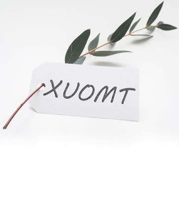 Xuomt Riesendildo Flüssiges Silikon Groß Wolf Dildo mit Saugnapf Analdildos S M L XL XXL Hunde