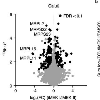 Using differential proteome changes of pharmacologically related ...